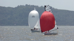 P1010379