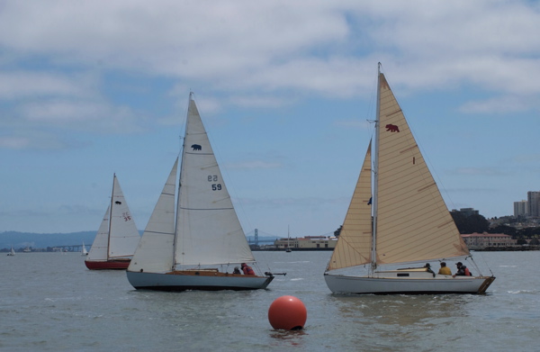 DSC_2456 (2)