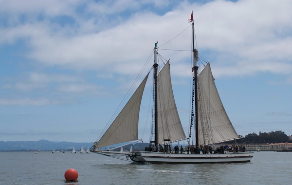 DSC_2458 (1)