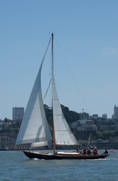 DSC_2553