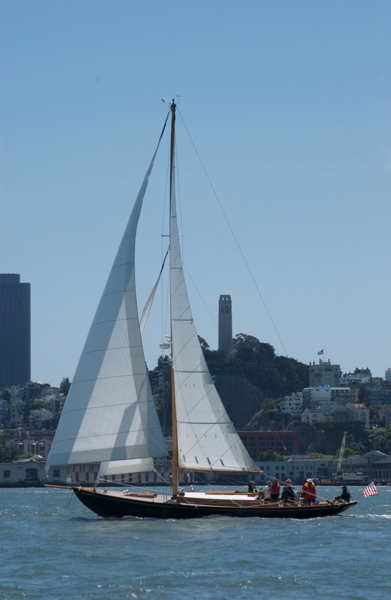DSC_2554