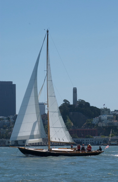 DSC_2555
