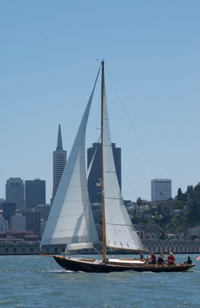 DSC_2556
