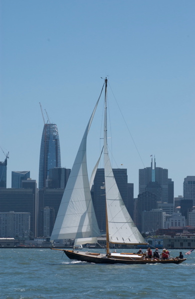 DSC_2558
