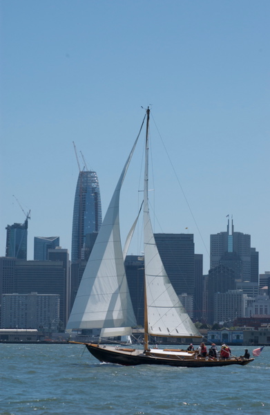 DSC_2559