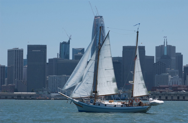 DSC_2594