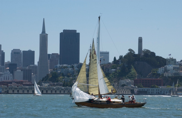 DSC_2613