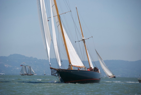 DSC_2236