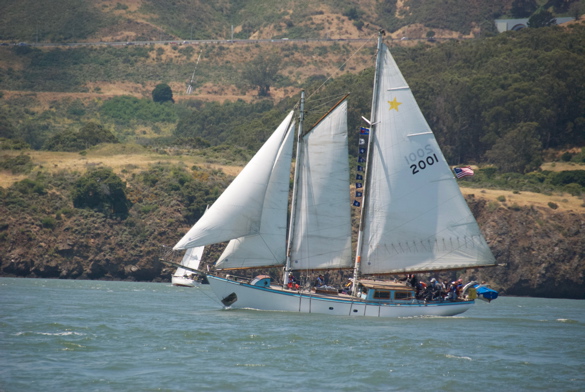 DSC_2383 (1)