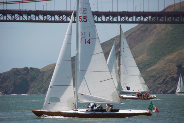 DSC_2397 (1)
