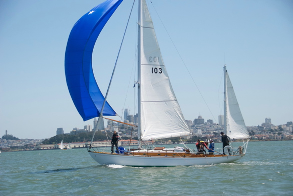 DSC_2429 (1)