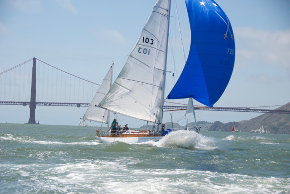 DSC_2456 (1)