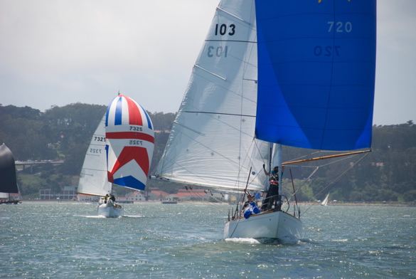 DSC_2477 (1)