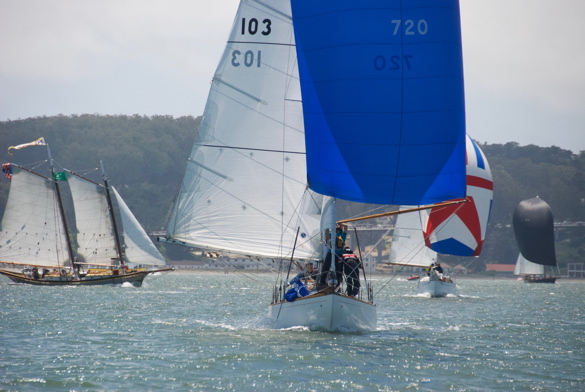 DSC_2480 (1)
