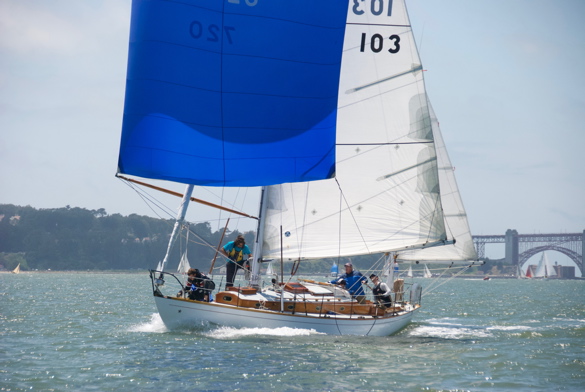 DSC_2503 (1)
