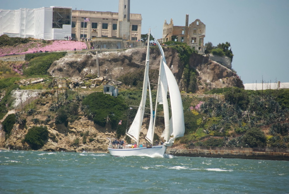 DSC_2538 (1)