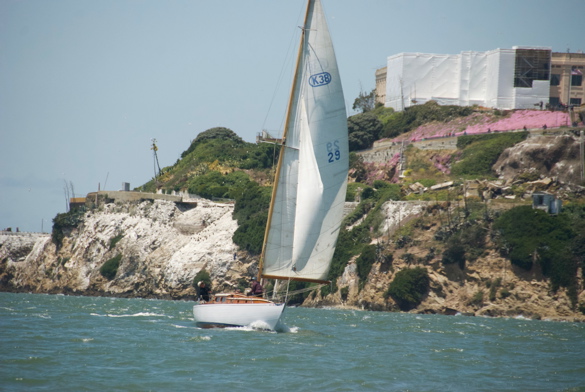 DSC_2542 (1)