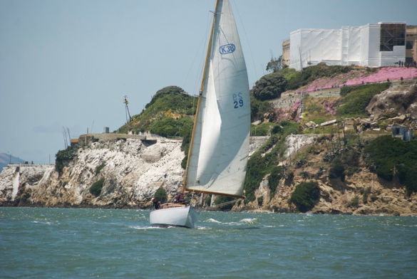 DSC_2543 (1)
