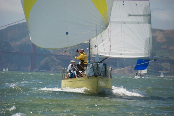 DSC_2546 (1)