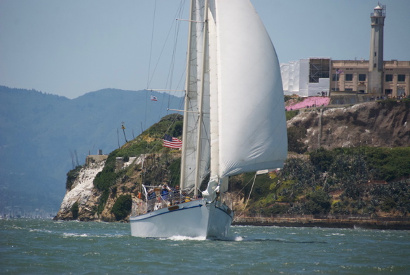 DSC_2555 (1)