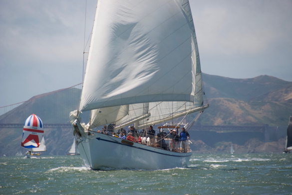 DSC_2559 (1)