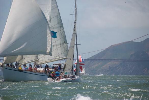DSC_2563 (1)