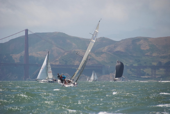 DSC_2567 (1)