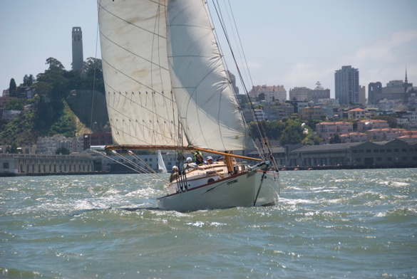 DSC_2573 (1)