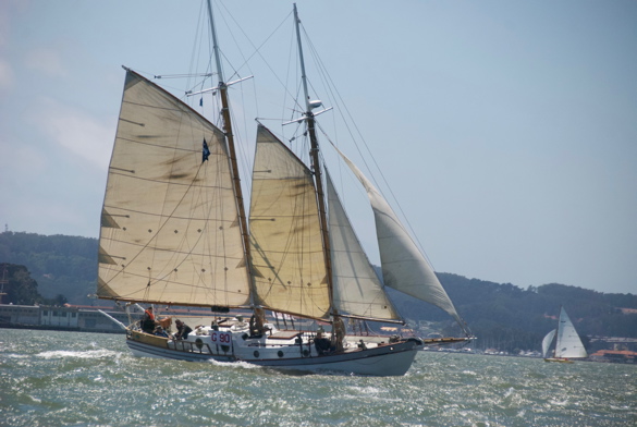 DSC_2589 (1)