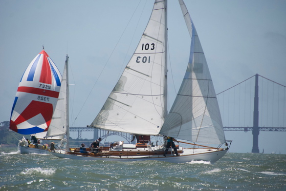 DSC_2626 (1)