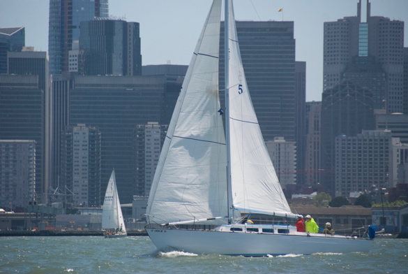 DSC_2661 (1)