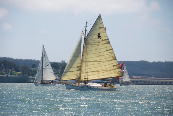 DSC_2784