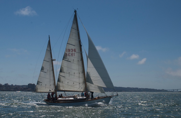DSC_2491 (1)