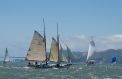 DSC_2525