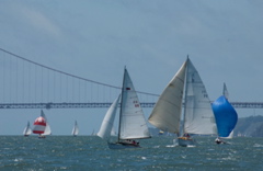 DSC_2551