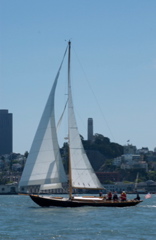 DSC_2554