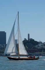 DSC_2555