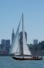 DSC_2556