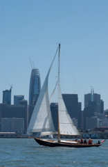 DSC_2559