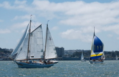 DSC_2593