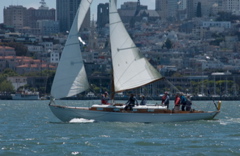 DSC_2601