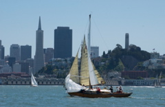 DSC_2613