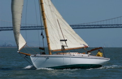DSC_2620