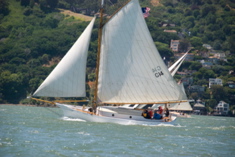 DSC_2296
