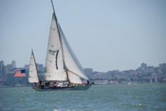 DSC_2324 (1)