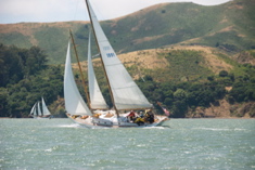 DSC_2331 (1)