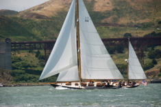 DSC_2347
