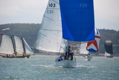 DSC_2480 (1)