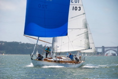 DSC_2503 (1)