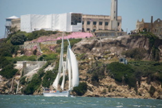 DSC_2536 (1)